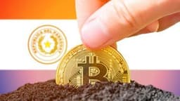 Hive Digital’s Paraguay Purchase to Quadruple Bitcoin Mining Capacity by Late 2025