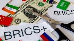 Expert Discusses BRICS Currency Push—Is Gold-Backed System the Ultimate Solution?