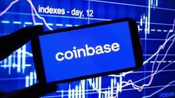 Coinbase CEO Sees Meme Coins as Gateway to Mass Crypto Adoption