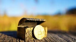 River CEO: Businesses Increasingly Buying Bitcoin