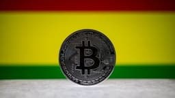 Bolivia Bans State Oil Company From Using Crypto for Energy Settlements