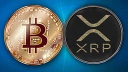 Ripple Donates ‘Skull of Satoshi’ — Says BTC and XRP Aren’t So Different