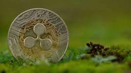 Ripple Launches First-of-Its-Kind $25M RLUSD Fund to Support US Education