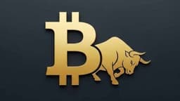 Bitwise CEO: Bitcoin Hits No-Sell Zone Above $130K-$150K