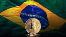 Brazilian Government Opens Contract to Monitor Cryptocurrency Transactions