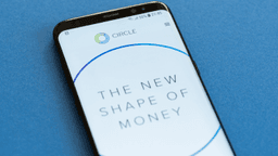 Bitmex Co-Founder Arthur Hayes Has a Stark Prediction for 'Circle Copycat' Stocks