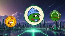 Top 3 Meme Coins to Watch in 2025: Bonk, Pepe, and Little Pepe on the Rise