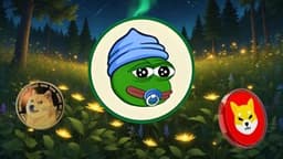 Meme Coins to Watch This Week: Dogecoin (DOGE), Shiba Inu (SHIB), LittlePepe (LILPEPE) See Investor Interest Skyrocket