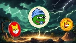 Shiba Inu (SHIB), Little Pepe (LILPEPE), Bonk (BONK): Top 3 Meme Coins That Deserve Your Investment in 2025