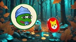 Shiba Inu (SHIB) Risks Losing Its Place in the Meme Coin Market as Little Pepe (LILPEPE) Gains Whale Investors Attention