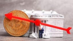 Is 'Simple' Regulation a Risk? Experts Debate White House's Crypto Recommendations
