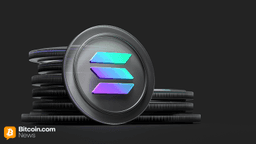 Digital Asset Treasury Firm Solmate Debuts With Ark Invest and RockawayX Backing