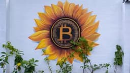 Blockchain Sleuth Points out El Salvador Might Be 'Recycling Bitcoin'
