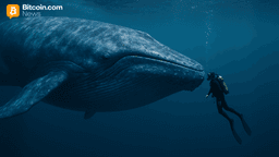 Ancient Bitcoin Awakens: 2011 Wallet Shifts 4,000 BTC After 14 Years of Silence