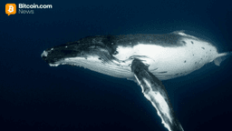 Early Bitcoin Holder Wraps up $1.3B Selloff With Fresh $230M Kraken Move