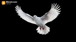 Arthur Hayes: Tether's Gold and BTC Hoarding Anticipates Major Interest-Rate Cuts