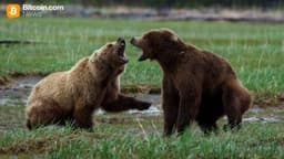 Bitcoin Loses $90K, Bears Pile Over $200 Million in Liquidations