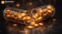 Dormant Bitcoin Wallets Show Continued Activity Despite Sub–Six-Figure Prices