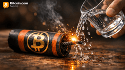 Bitcoin's Rally Fizzles—Is a Crash Below $91K Looming?