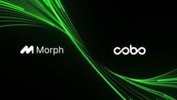 Morph Supercharges Institutional Stablecoin Flows With Cobo as First Payment Accelerator Partner