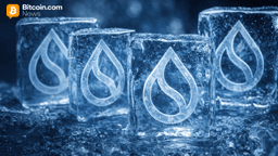 From Blocks to Standstill: Sui Mainnet Outage Freezes Onchain Activity