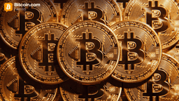 Strike Extends Margin Call Window for Bitcoin-Backed Loans as Volatility Intensifies