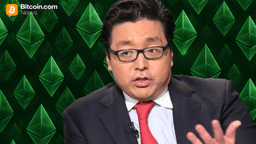 Digital Asset Treasury Firm Bitmine Adds 51,162 ETH Amid Market Pullback