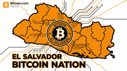 'Not A Stock:' El Salvador Defends Bitcoin Purchases Amid Market Slump