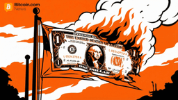 Now It Is Official: Analysts Consider the Dollar a 'Dangerous' Asset