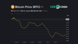 CCE.Cash Exchange: an Instant Safe Haven in a Volatile Cryptocurrency Market