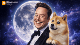 Elon Musk Revives Dogecoin Moon Talk, but DOGE Keeps Falling