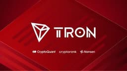 TRON Records 323M Monthly Transactions, Research by CryptoQuant, CryptoRank, Nansen Show ATH Network Activity