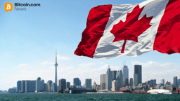 Crypto-Native Operators Lead Canada's Offshore iGaming Surge as World Cup Approaches