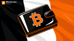 France Advances Law Mandating Self Custody Funds' Disclosure