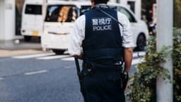 Alleged 'Pig Butchering' Prince Group Kingpin Hu Shi Arrested in Japan