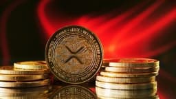 XRP Fees Collapse 91.5% as Network Demand Flashes Warning