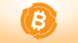 Is 'This Time Is Different' Really Different for Bitcoin Price?