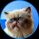 MIGGLES price prediction, MIGGLES price today, how to buy Mr. Miggles coin