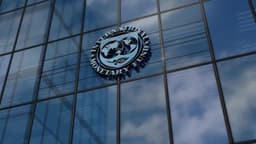 IMF Warns Nigeria’s Stablecoin Boom Could Weaken Local Currency Demand