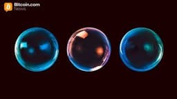 Anthropic Hits $350 Billion Valuation, Adding to Fears of an AI Bubble