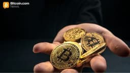 Legacy Wallets Drive Bitcoin’s November Pullback