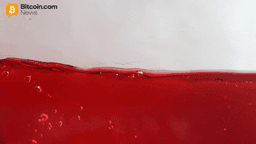 Bitcoin Price Watch: Price Rebounds off $80K—A Bottom or a Trap?