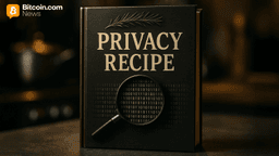 The Recipe for 1,500% Gains: Aurora Labs CEO Breaks Down ZEC Surge and Crypto's Privacy Pivot