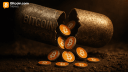 Amid November’s Market Carnage, Long-Sleeping Wallets Moved 2,443 BTC