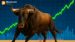 Bitwise Eyes Massive 2026—CEO Says ‘People Are Not Bullish Enough’