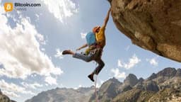 Crypto Holds Firm Ahead of Key Central Bank Decisions