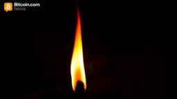 Firelight Protocol Introduces Staking Rewards for XRP Holders