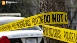 Murder of Son of Ukrainian Deputy Mayor in Vienna Tied to Stolen Crypto Funds