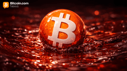 Crypto Bloodbath: Bitcoin Slips Below $85K, $796M Liquidated as Traders Get Forced Out