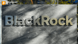 Stablecoin Sector Adds $703M This Week While Blackrock's BUIDL Surges 36%